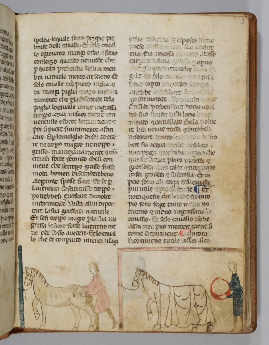 Giordano Rosso, Libro delle Mariscalcie dei cavalli. Füttern und Striegeln der pferde