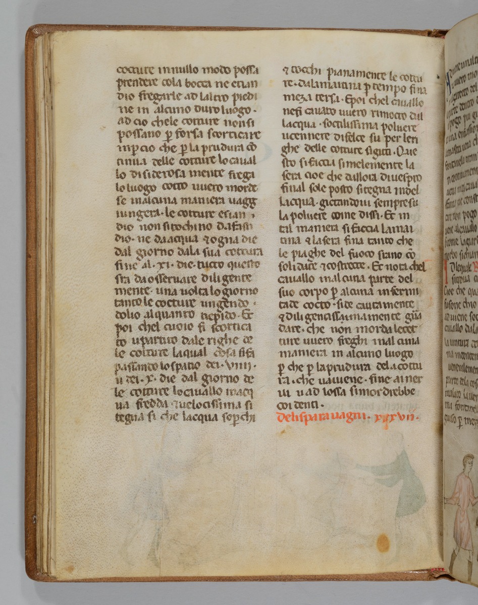Giordano Rosso, Libro delle Mariscalcie dei cavalli.