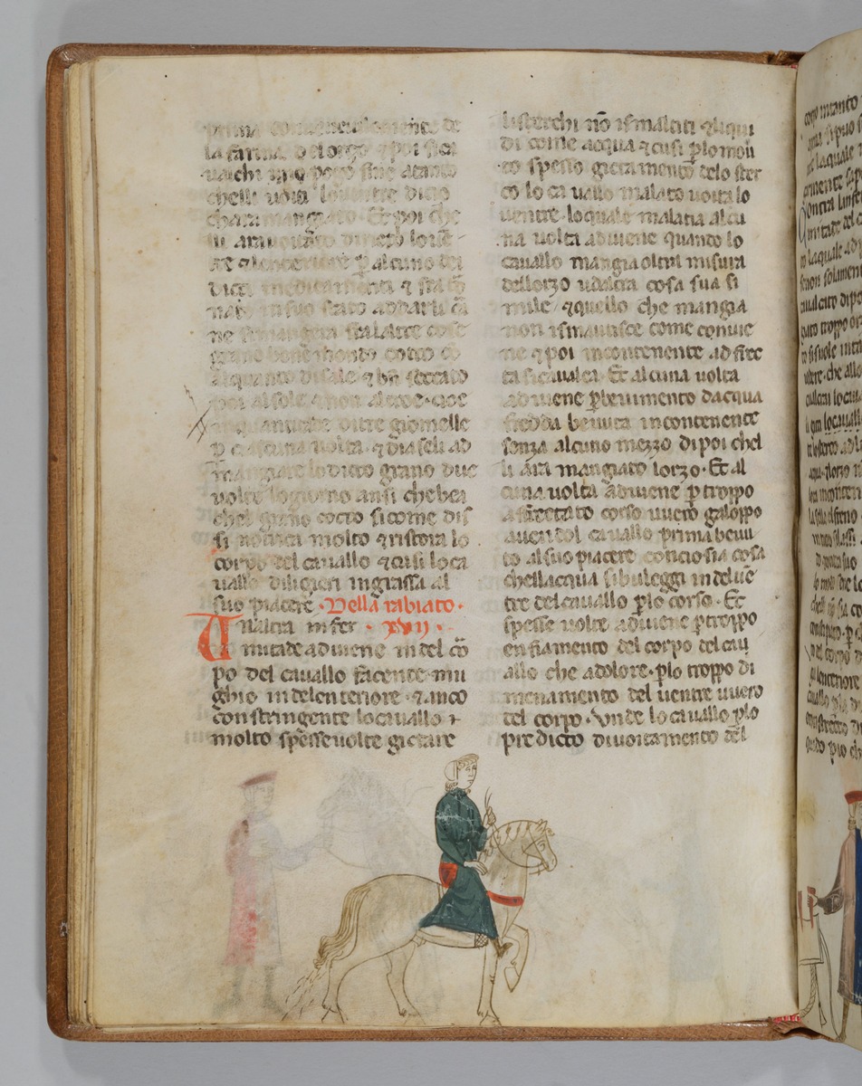 Giordano Rosso, Libro delle Mariscalcie dei cavalli. Ein Reiter