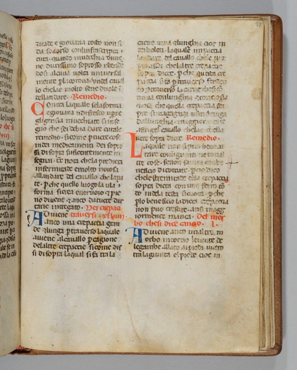 Giordano Rosso, Libro delle Mariscalcie dei cavalli.