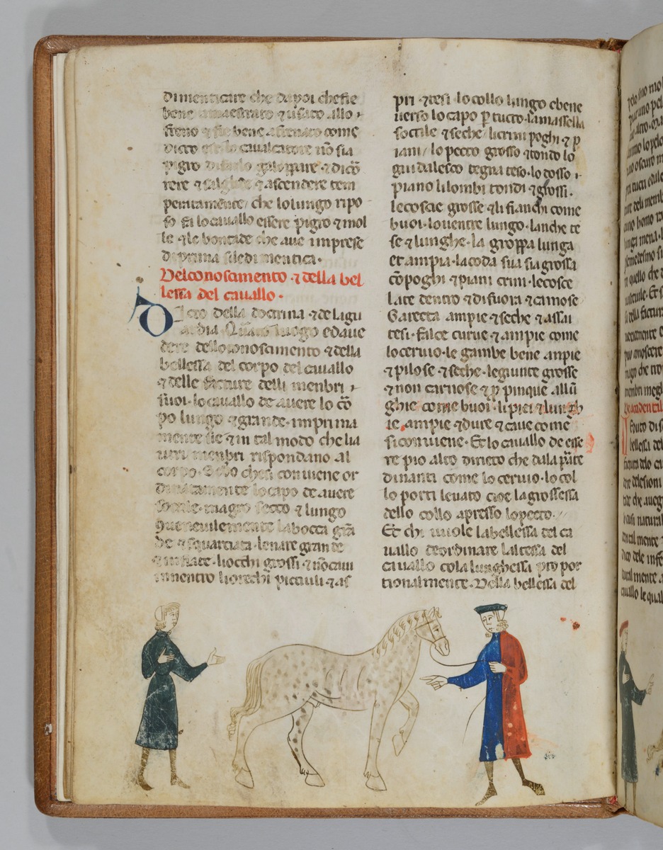 Giordano Rosso, Libro delle Mariscalcie dei cavalli. Pferdekauf