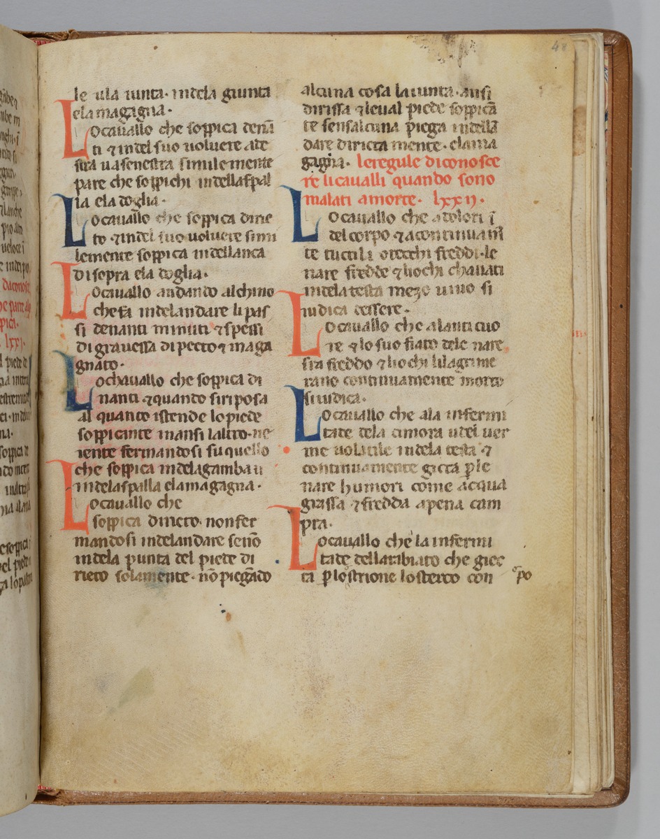 Giordano Rosso, Libro delle Mariscalcie dei cavalli.