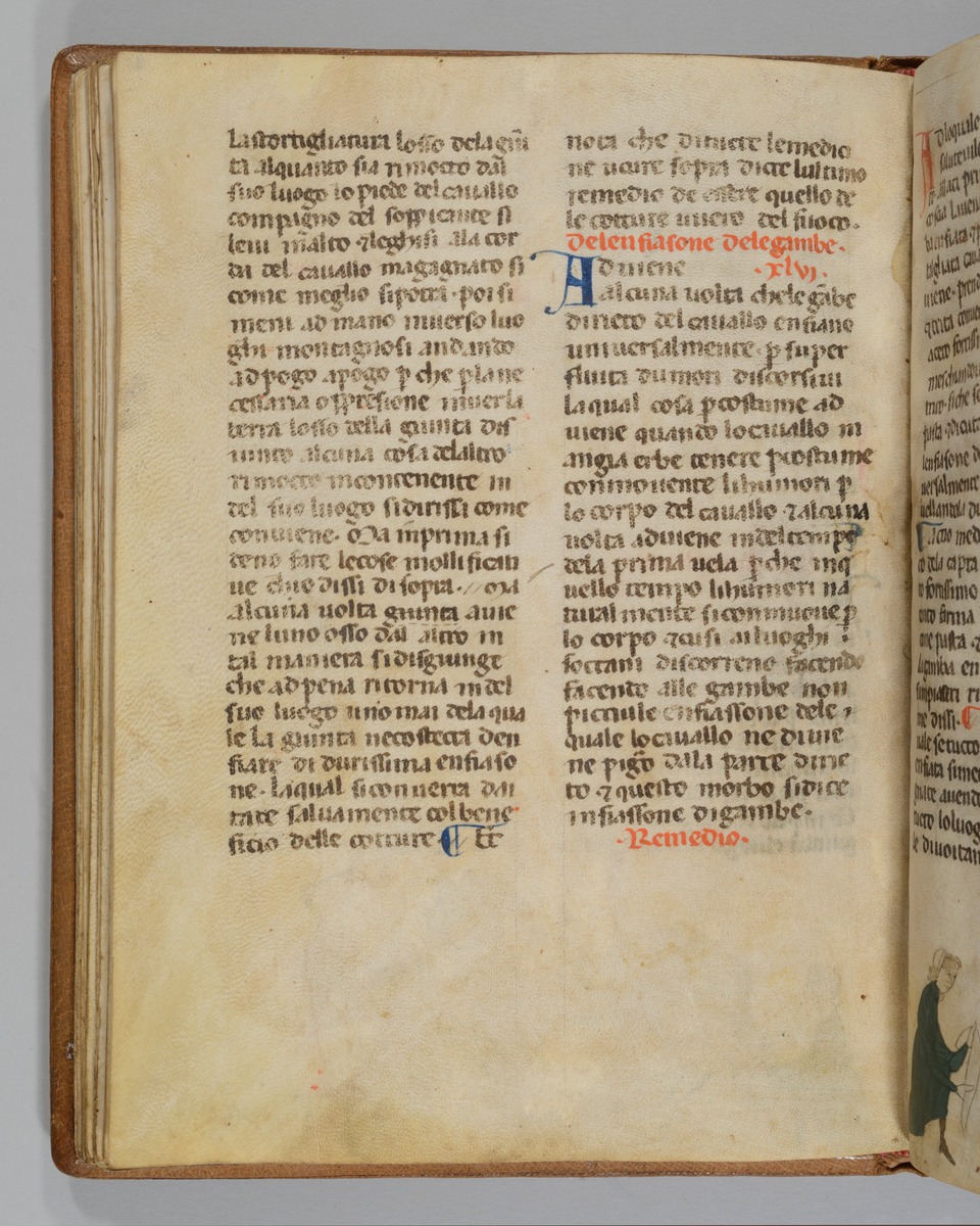 Giordano Rosso, Libro delle Mariscalcie dei cavalli. Pferd, das am rechten Hinterbein einen Verband erhält