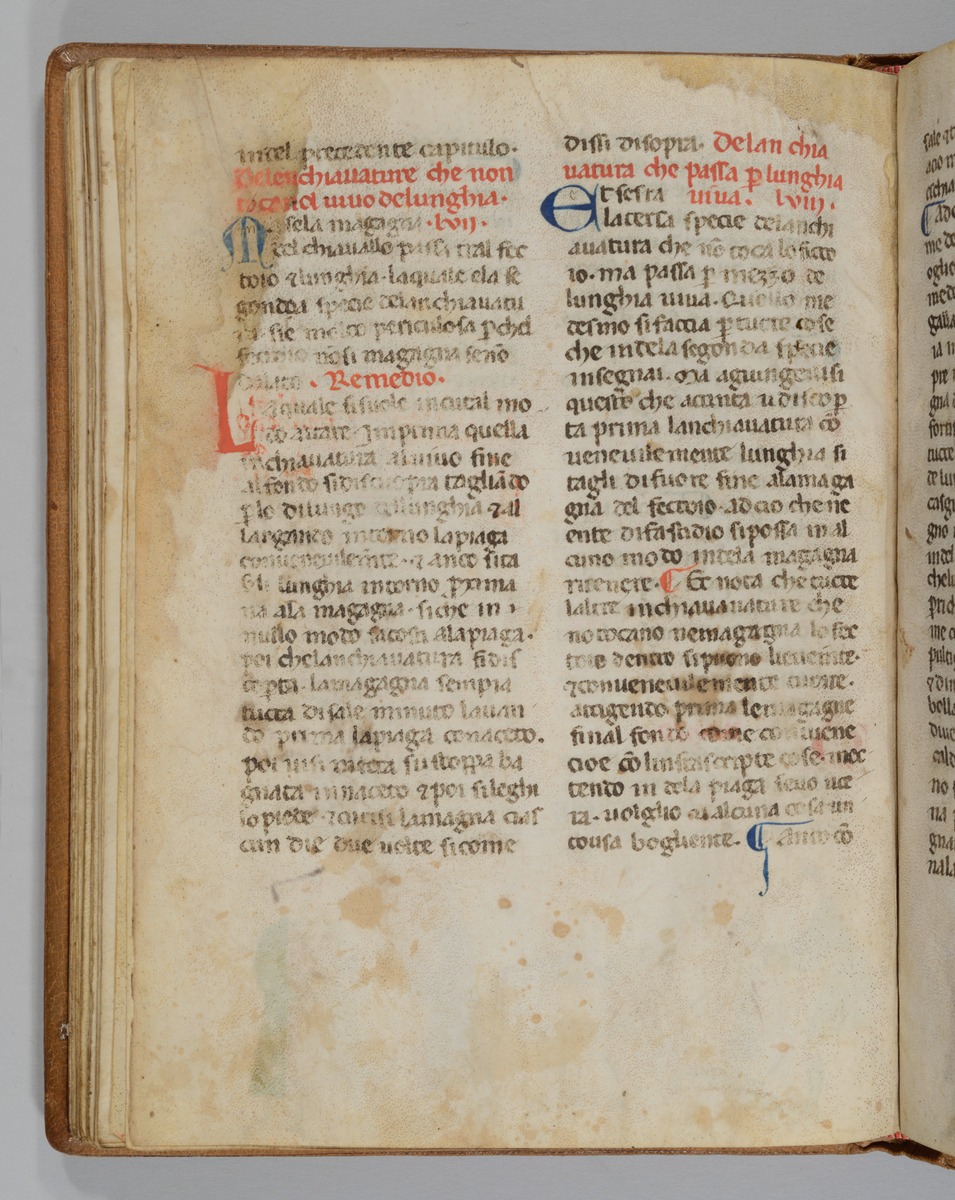 Giordano Rosso, Libro delle Mariscalcie dei cavalli.