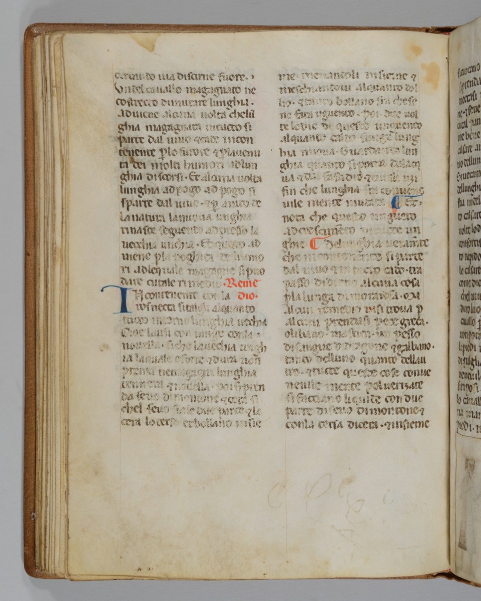 Giordano Rosso, Libro delle Mariscalcie dei cavalli.