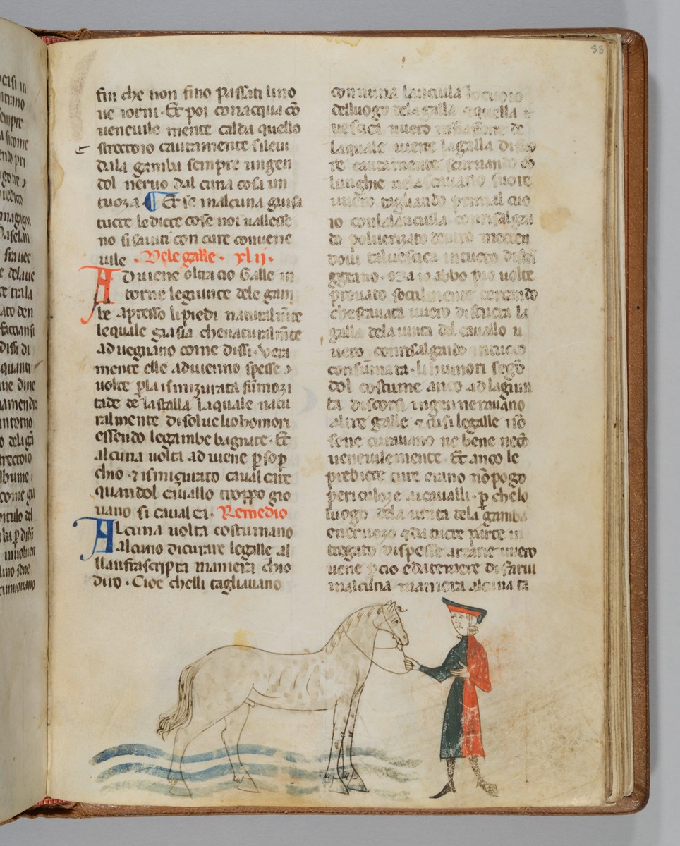 Giordano Rosso, Libro delle Mariscalcie dei cavalli. Ein Pferd wird von einem Mann in rotgrünem Rock ins Wasser geführt, um die Beine zu kühlen