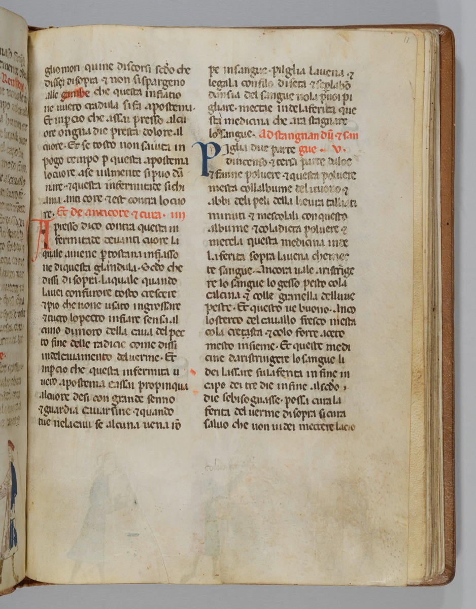 Giordano Rosso, Libro delle Mariscalcie dei cavalli.