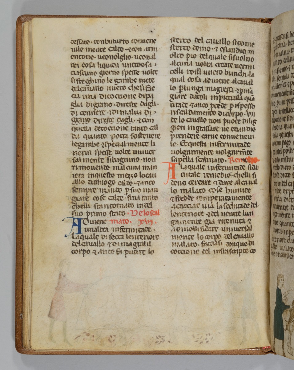Giordano Rosso, Libro delle Mariscalcie dei cavalli.