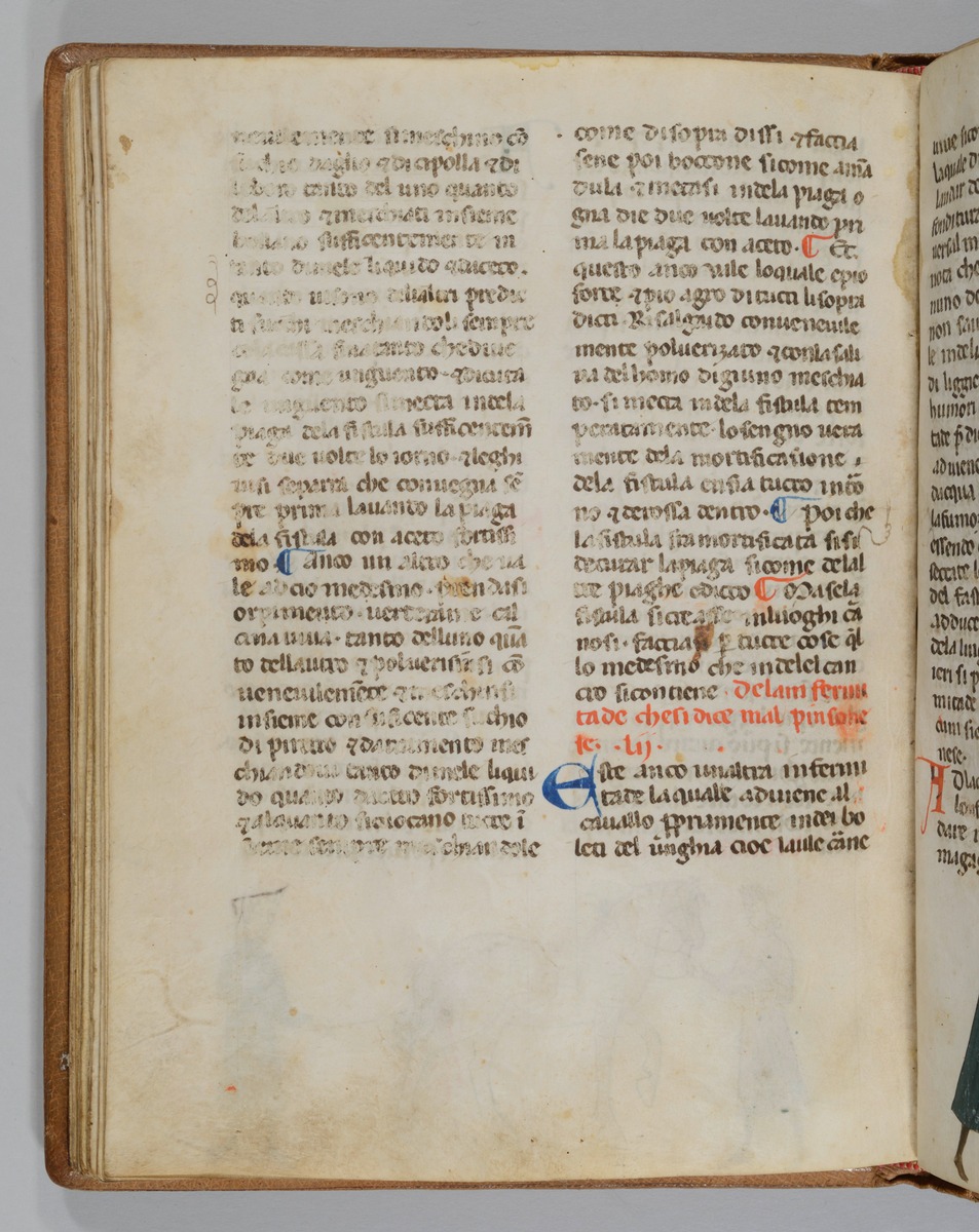 Giordano Rosso, Libro delle Mariscalcie dei cavalli.
