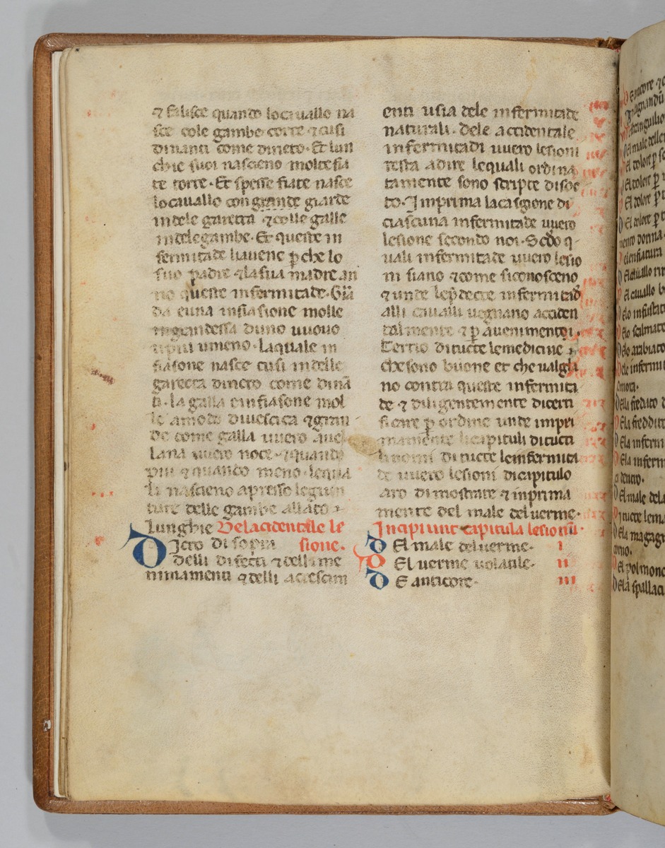 Giordano Rosso, Libro delle Mariscalcie dei cavalli.