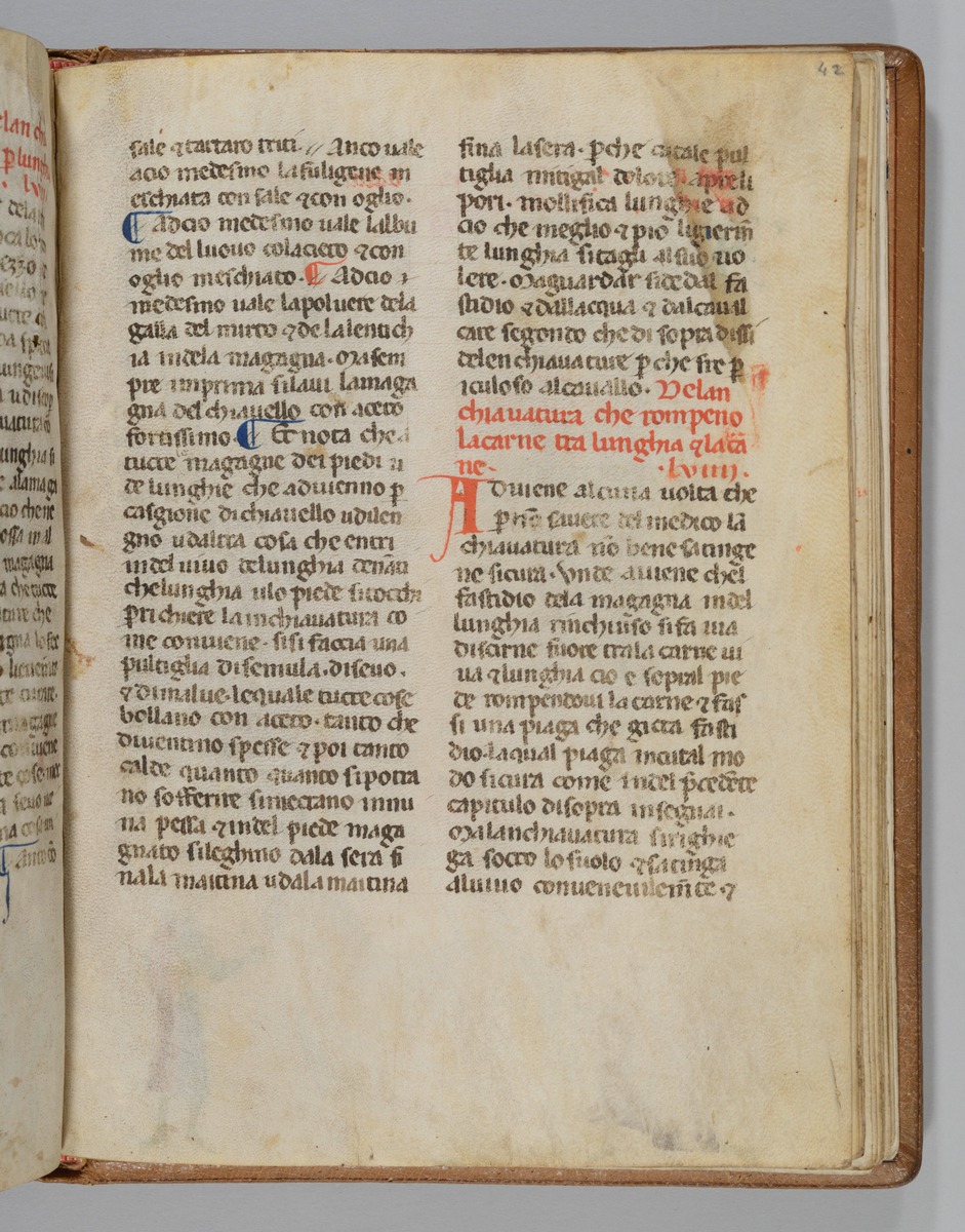 Giordano Rosso, Libro delle Mariscalcie dei cavalli.