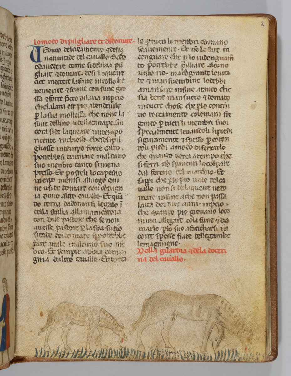 Giordano Rosso, Libro delle Mariscalcie dei cavalli. Stute mit Fohlen