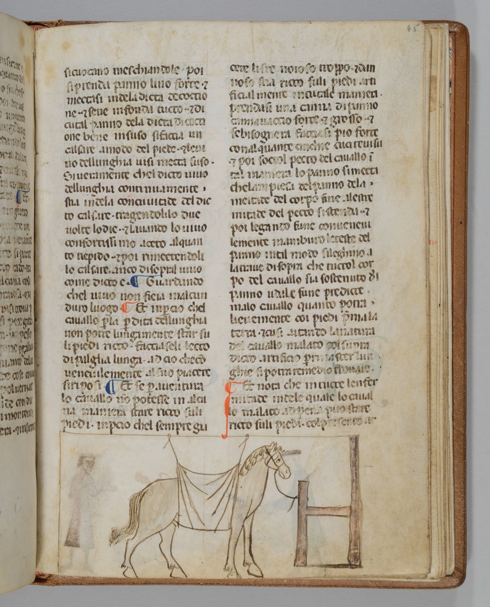 Giordano Rosso, Libro delle Mariscalcie dei cavalli. Pferd an der Krippe mit einem von der Decke hängenden Umschlag um den Leib