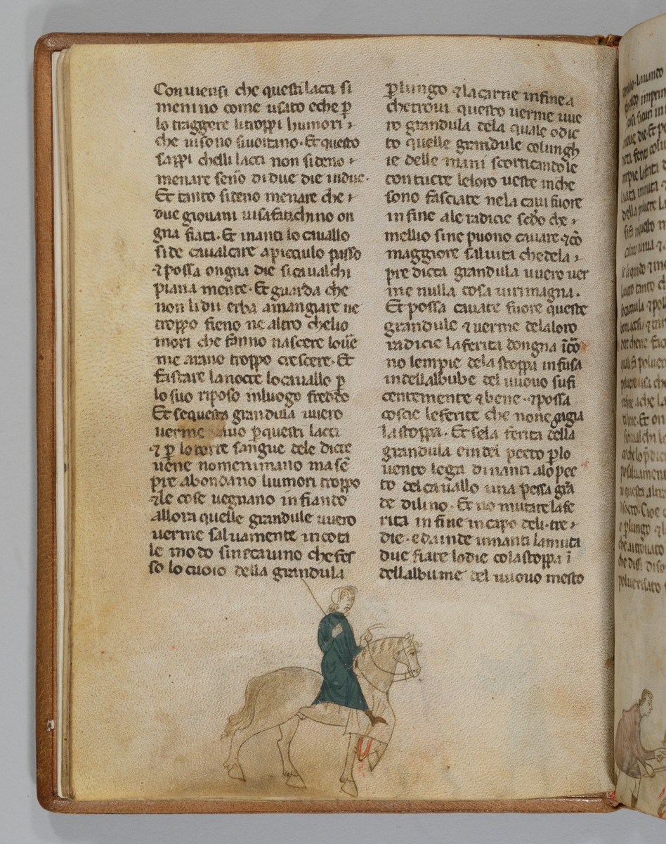 Giordano Rosso, Libro delle Mariscalcie dei cavalli. Reiter zu Pferd