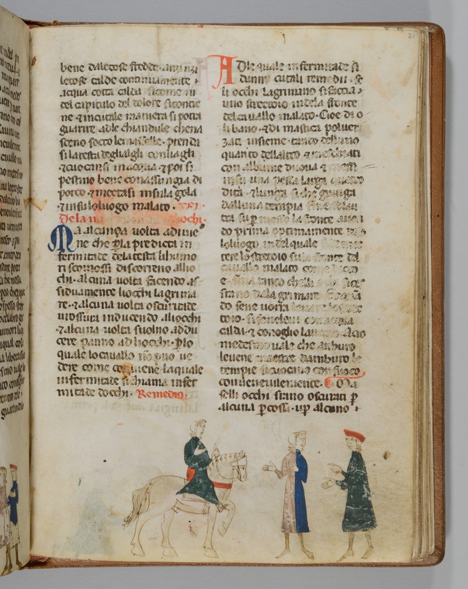 Giordano Rosso, Libro delle Mariscalcie dei cavalli. Berittenes Pferd mit verbundenem Kopf, davor rechts zwei Männer mit weisenden Gebärden