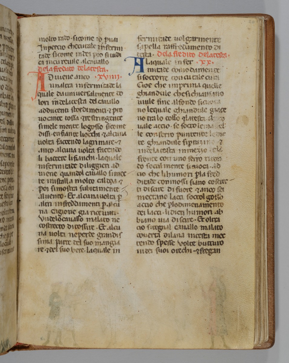 Giordano Rosso, Libro delle Mariscalcie dei cavalli.