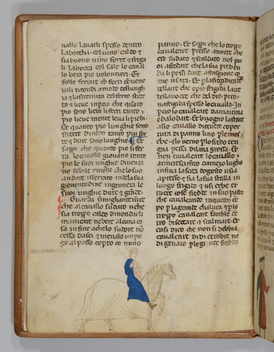 Giordano Rosso, Libro delle Mariscalcie dei cavalli. Bewegen eines Pferdes
