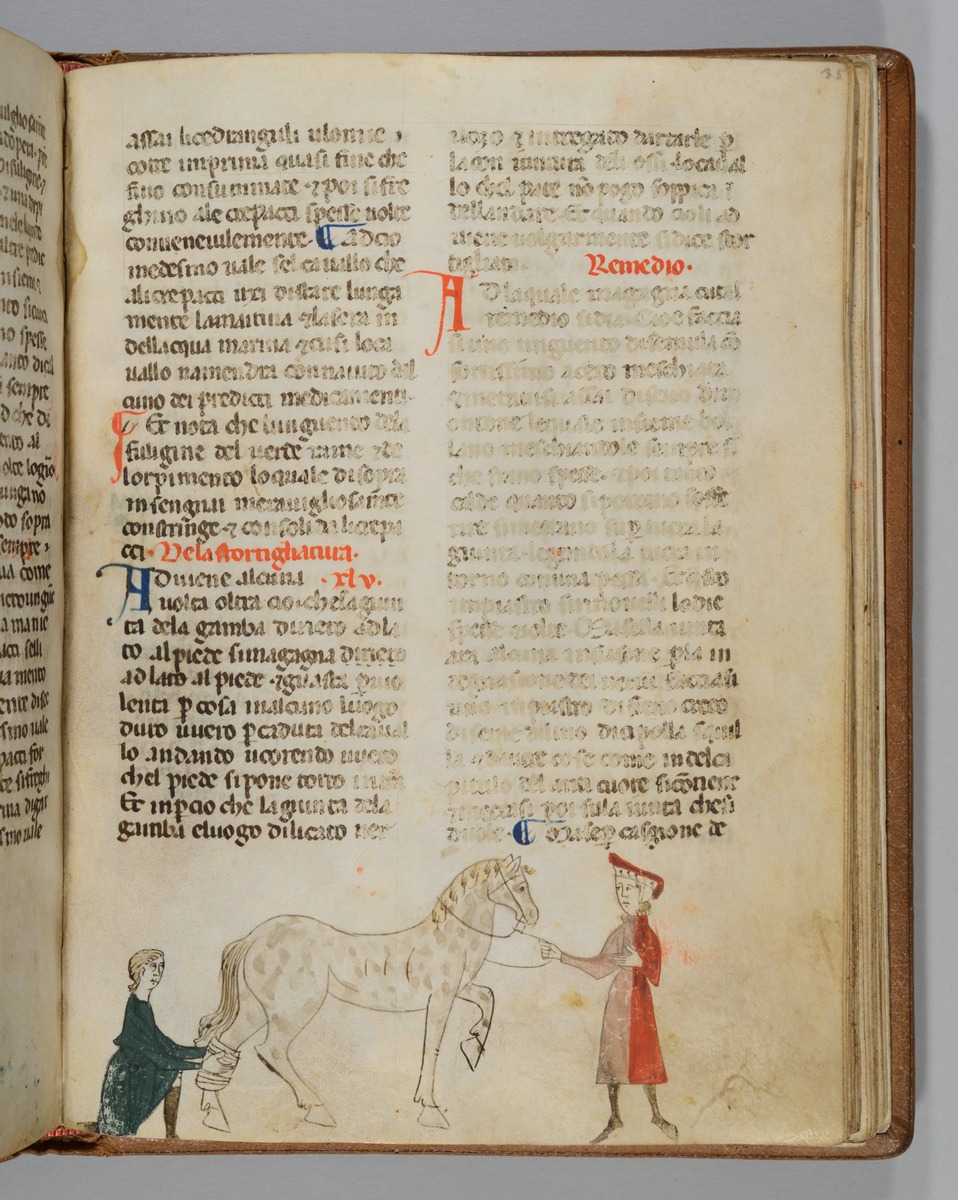 Giordano Rosso, Libro delle Mariscalcie dei cavalli. Pferd, das am linken Hinterbein einen Verband erhält