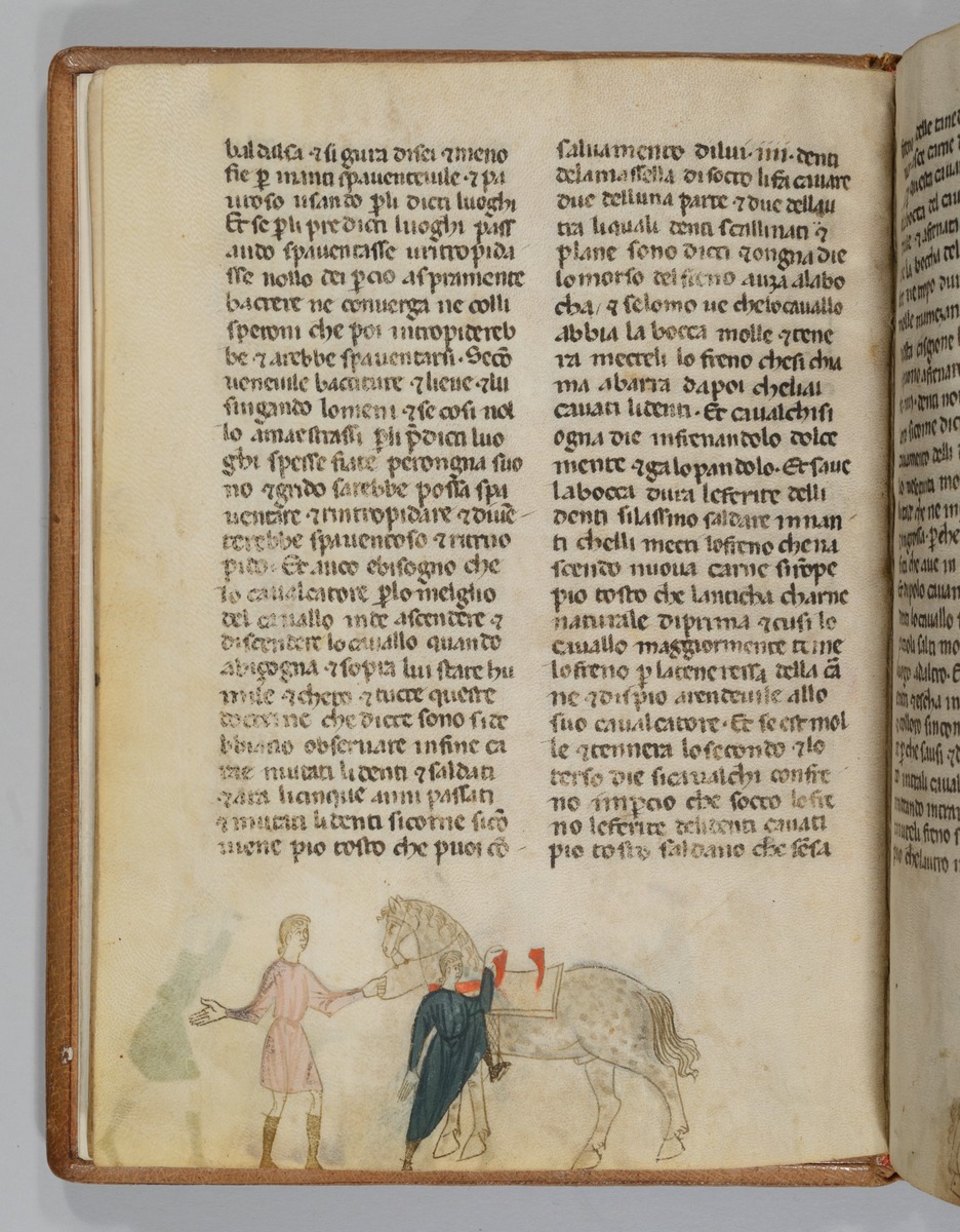 Giordano Rosso, Libro delle Mariscalcie dei cavalli. Aufsteigender Reiter in grünem Rock