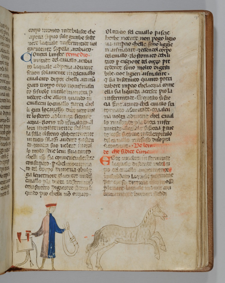 Giordano Rosso, Libro delle Mariscalcie dei cavalli. Pferd, dem das Reitzeug abgenommen ist und nach rechts davongaloppiert