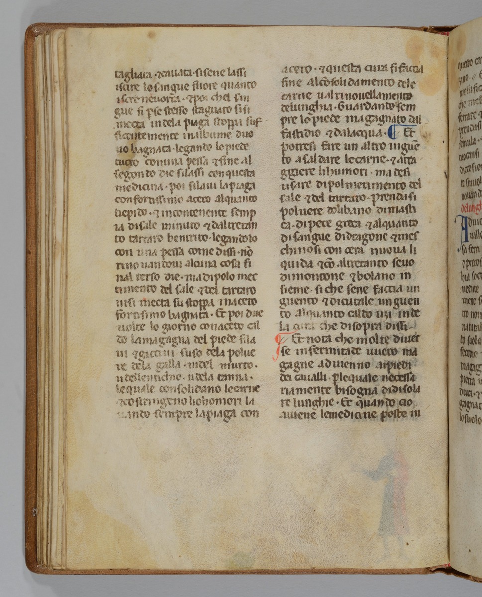 Giordano Rosso, Libro delle Mariscalcie dei cavalli.