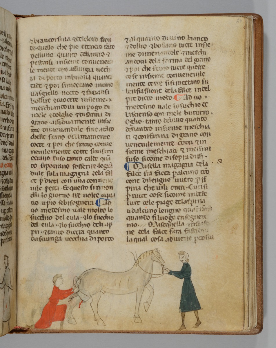 Giordano Rosso, Libro delle Mariscalcie dei cavalli. Pferd erhält am rechten Hinterbein einen Verband