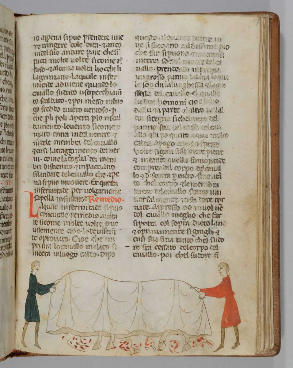 Giordano Rosso, Libro delle Mariscalcie dei cavalli. Ein krankes Pferd wird von zwei Männern mit einer Decke umhüllt