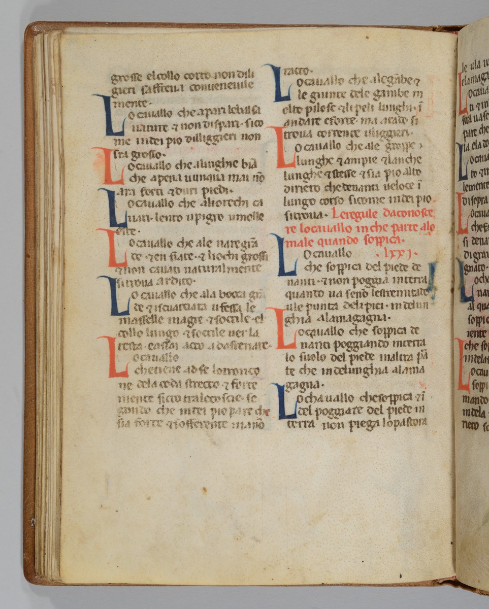 Giordano Rosso, Libro delle Mariscalcie dei cavalli.