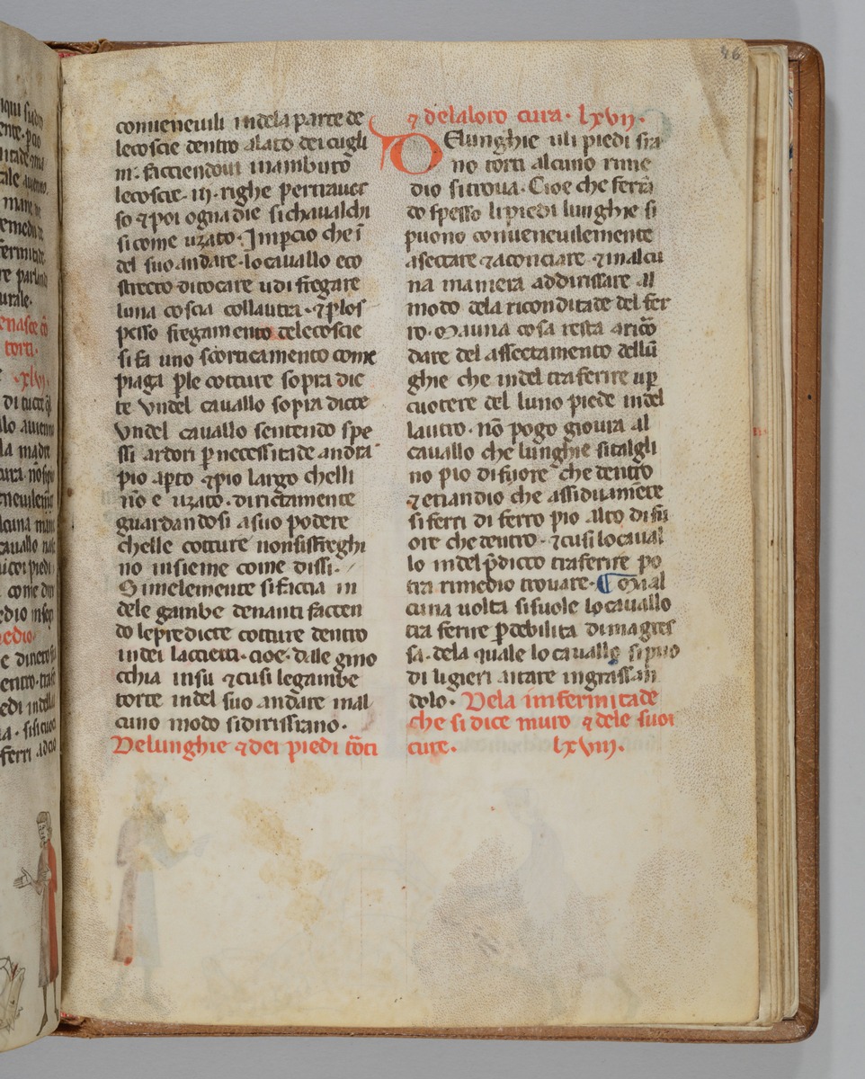 Giordano Rosso, Libro delle Mariscalcie dei cavalli.