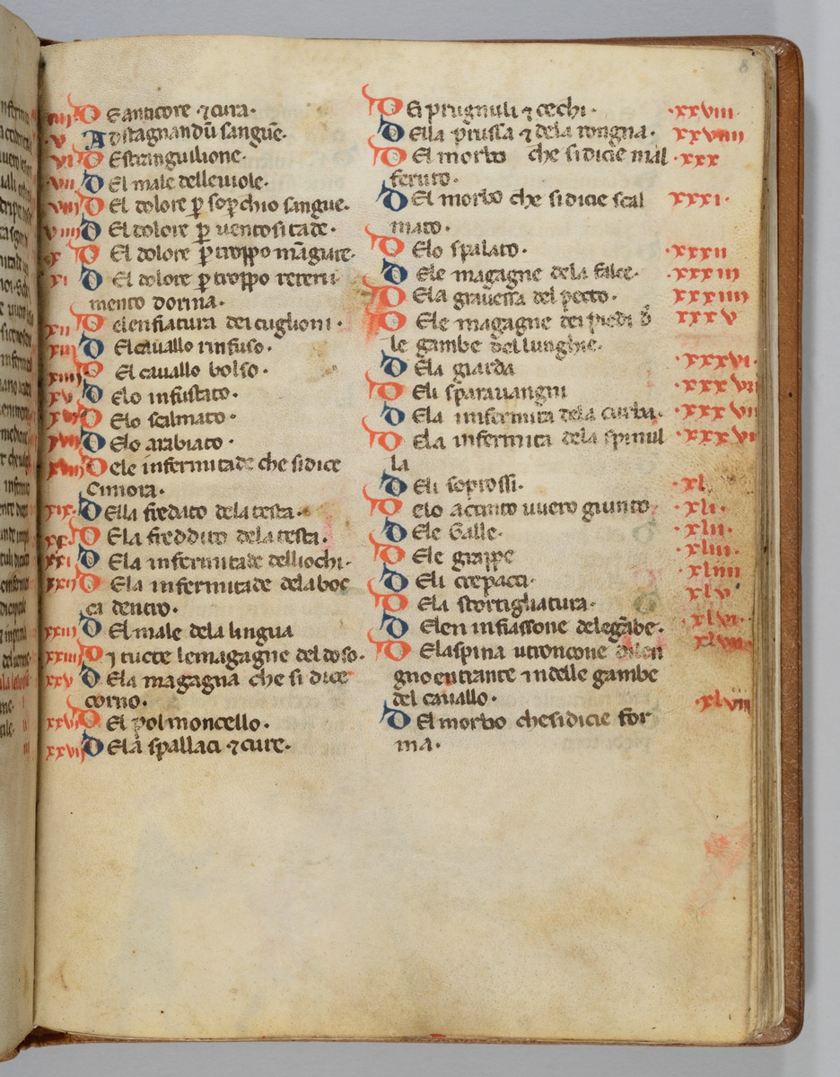 Giordano Rosso, Libro delle Mariscalcie dei cavalli.