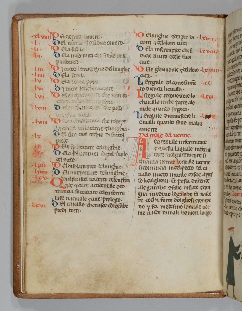 Giordano Rosso, Libro delle Mariscalcie dei cavalli.