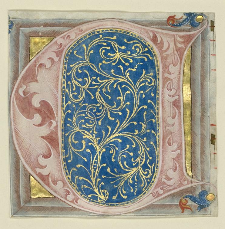 Initiale C mit Akanthusranke, Italien