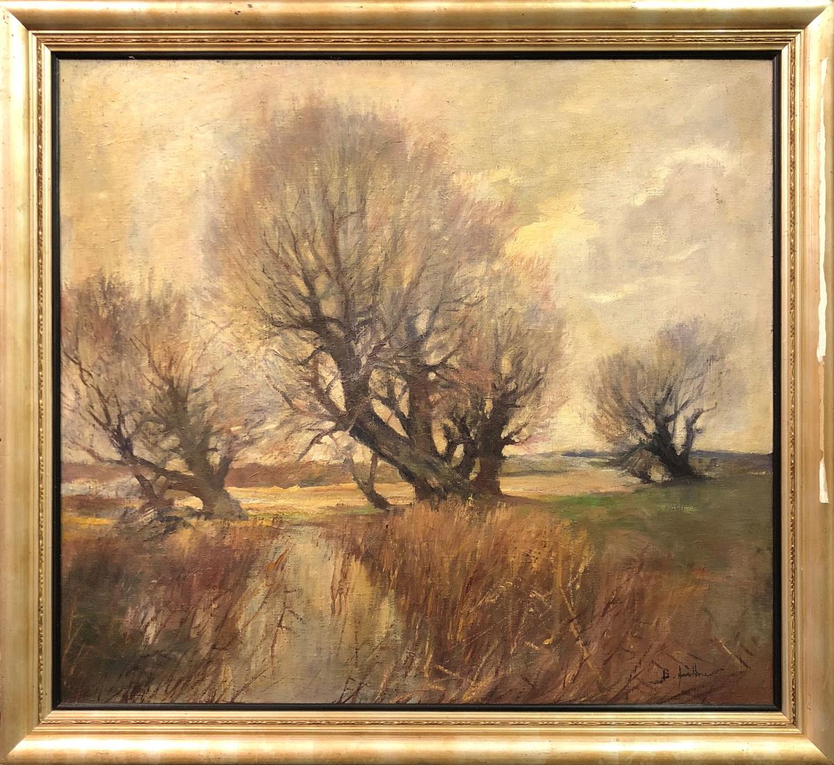 Weiden im Vorfrühling