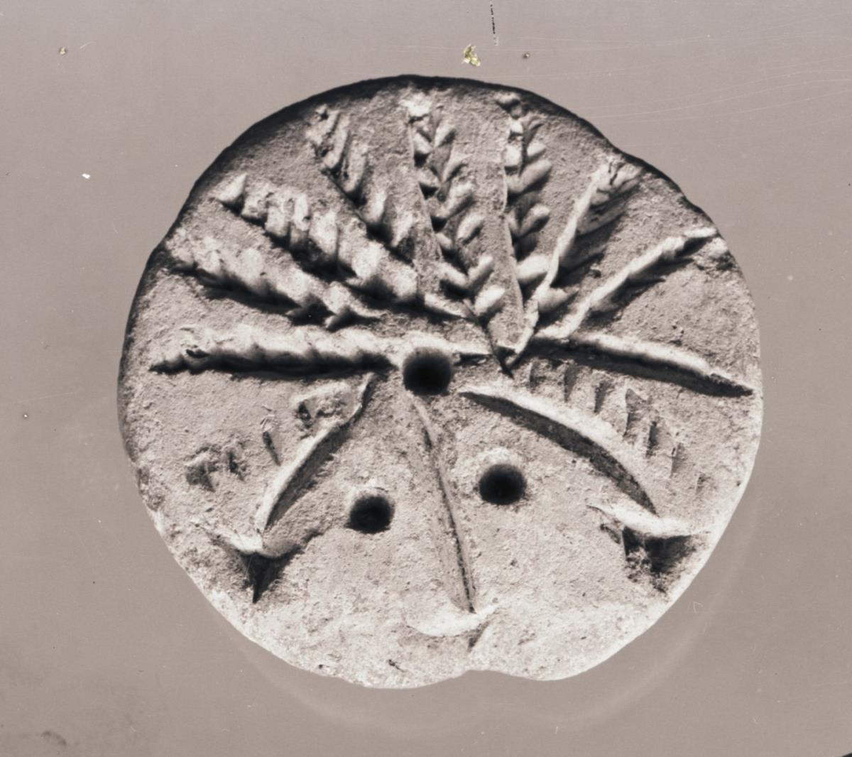 Stempel mit Dattelpalme
