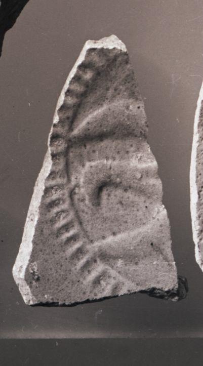 Schale oder Teller, Fragment (Boden)