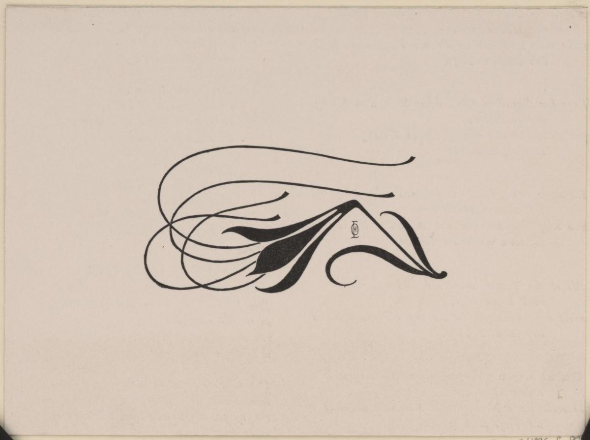 Glockenblume mit Staubfäden (in PAN 1/1896 S. 80)