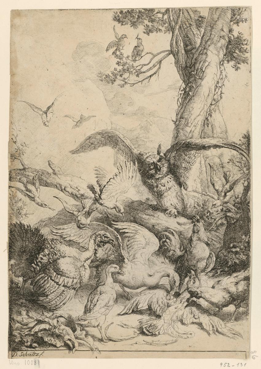 Eule und Federvieh