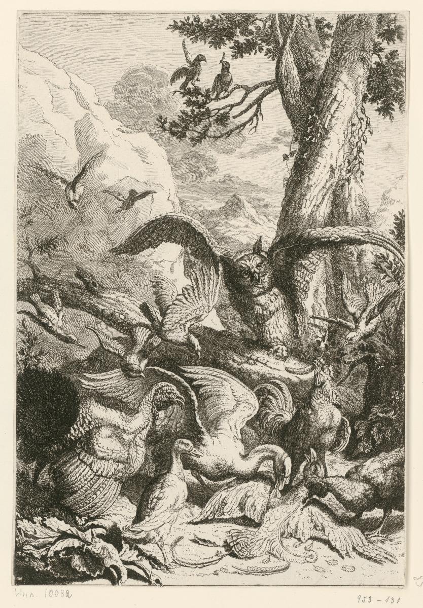 Eule und Federvieh