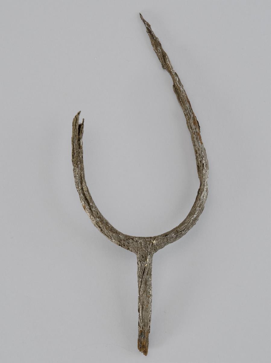 Stachelsporn