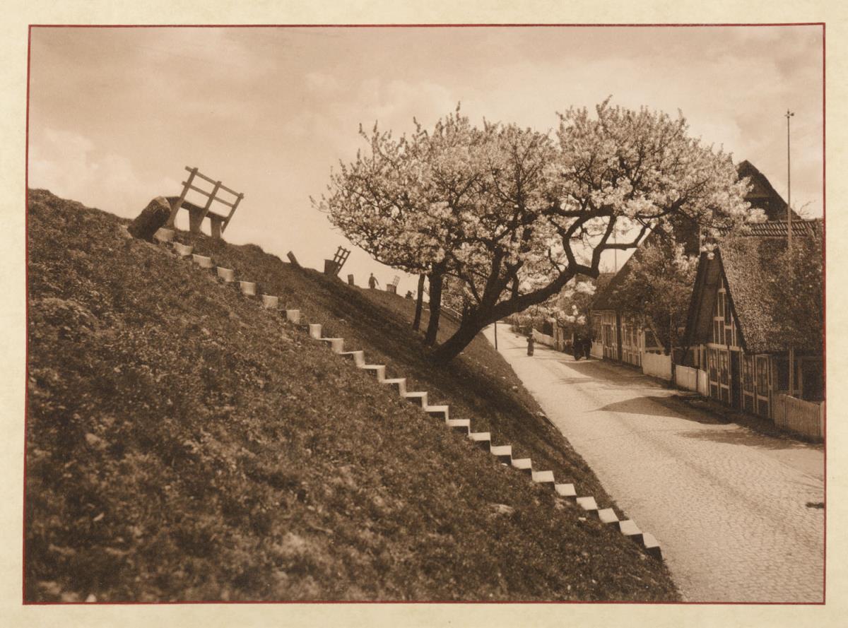 Lüheort. Dorfstraße am Elbdeich (aus dem Album "Hamburg: Land und Leute der Niederelbe")