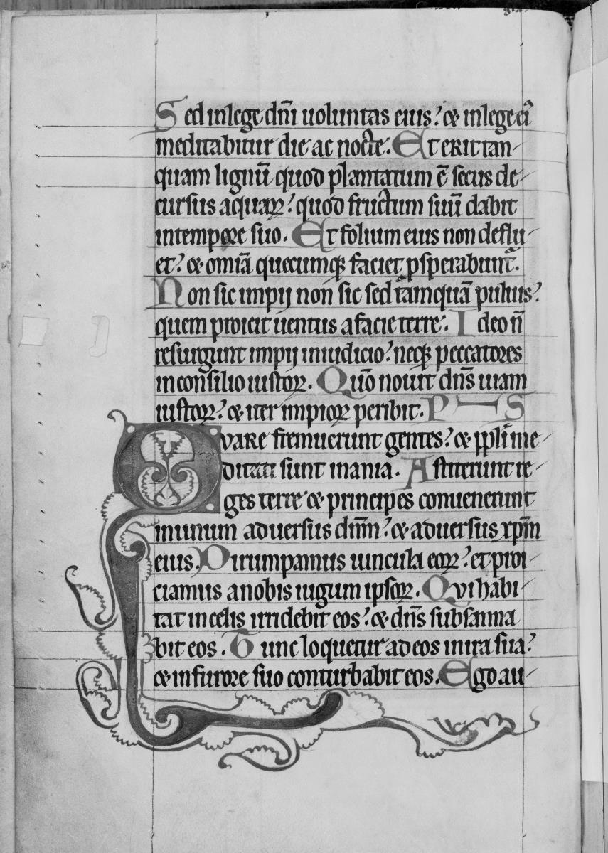 Textseite. Thüringisch-sächsisches Psalterium