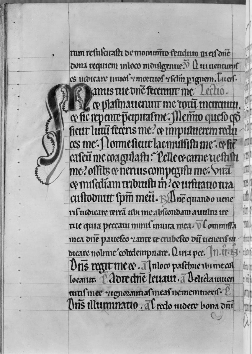 Textseite. Thüringisch-sächsisches Psalterium