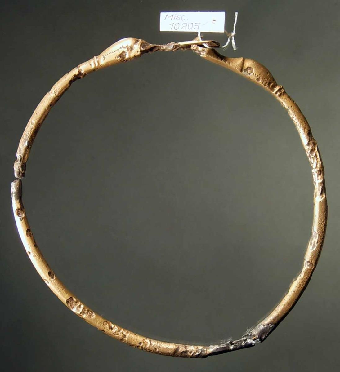 Großer Ring, vorn ein Schloss mit zwei Entenköpfen; kleines Stück des Rings fehlt, schöne blaue Patina