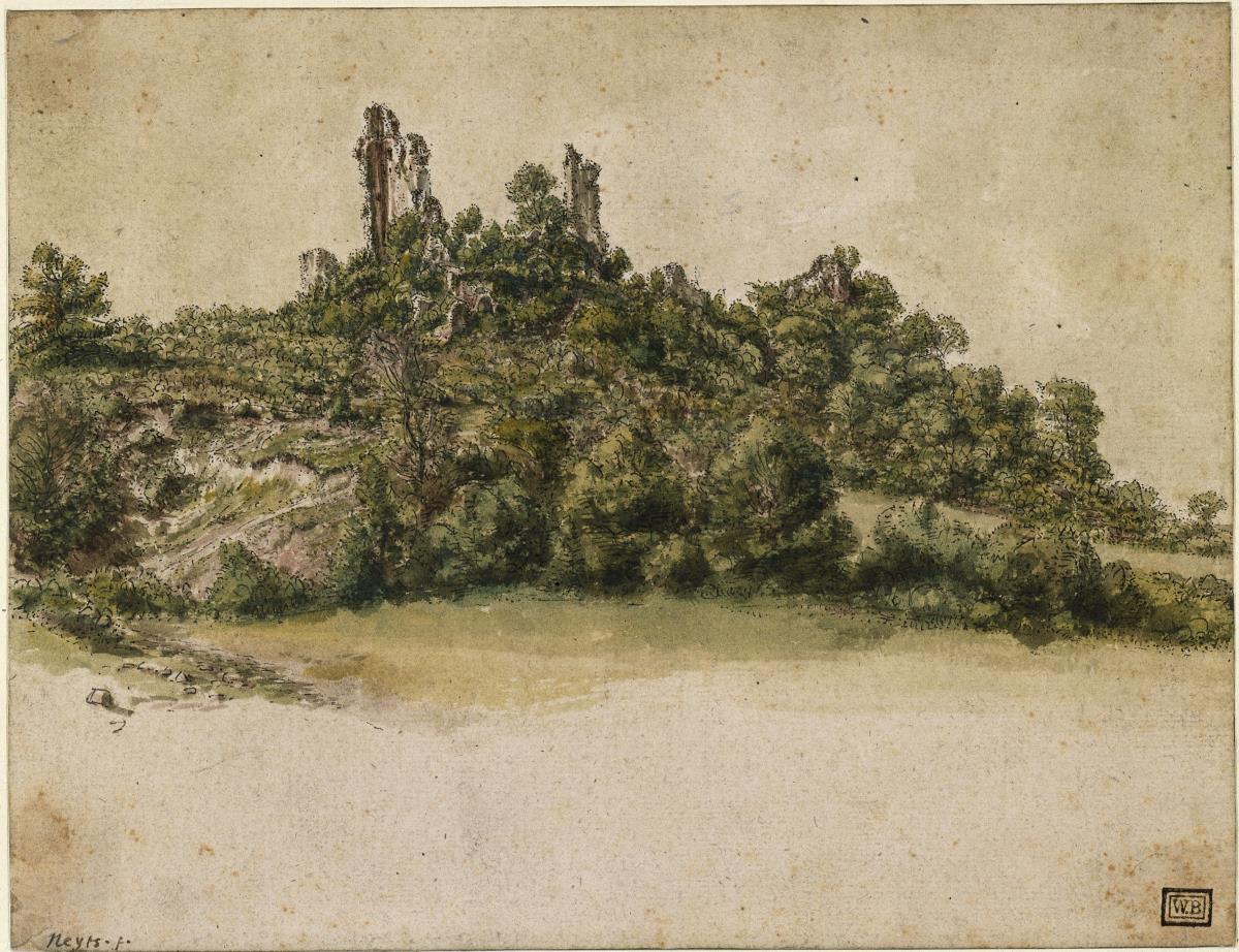 Waldige Anhöhe mit Ruine