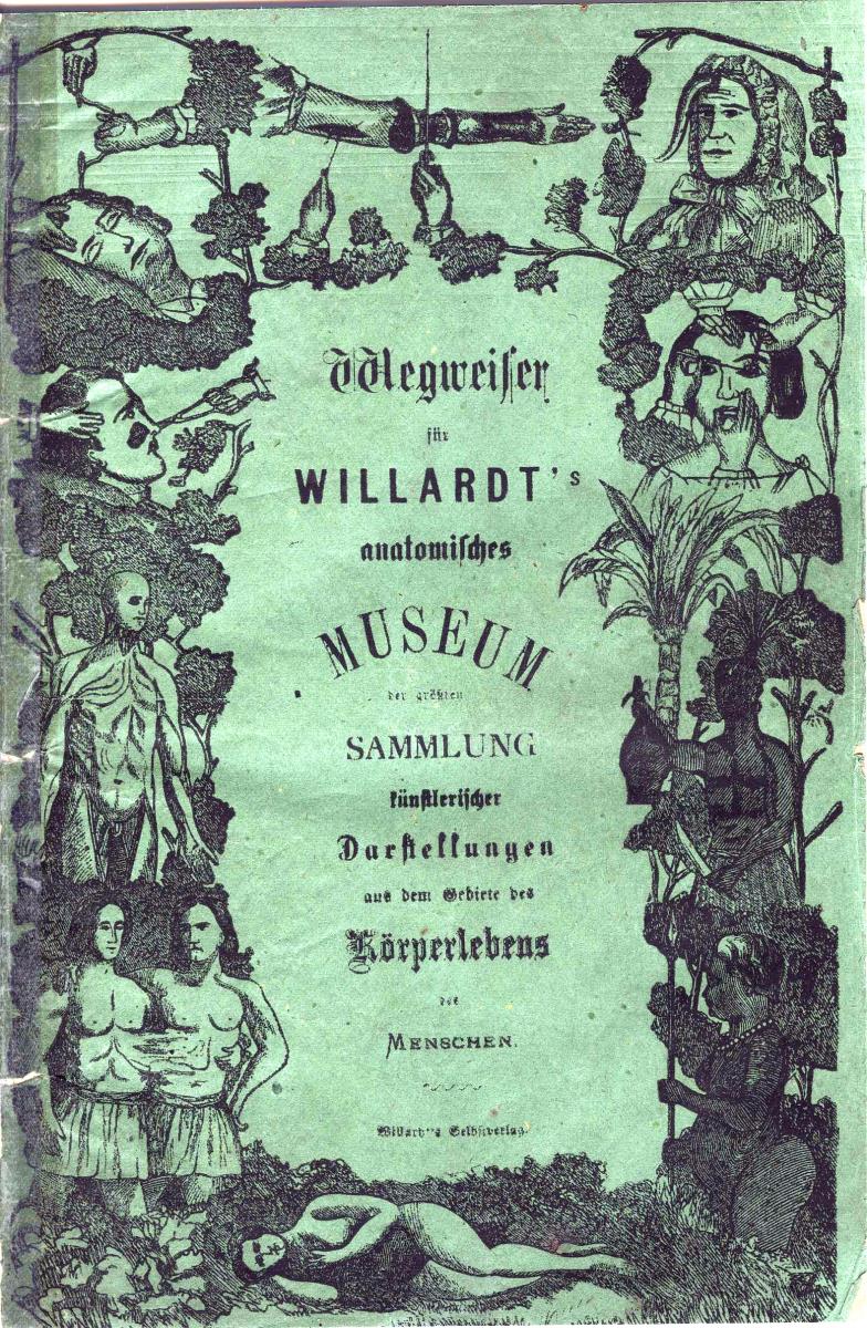 Wegweiser für Willardt's anatomisches Museum der größten Sammlung künstlerischer Darstellungen aus dem Gebiete des Körperlebens der Menschen.