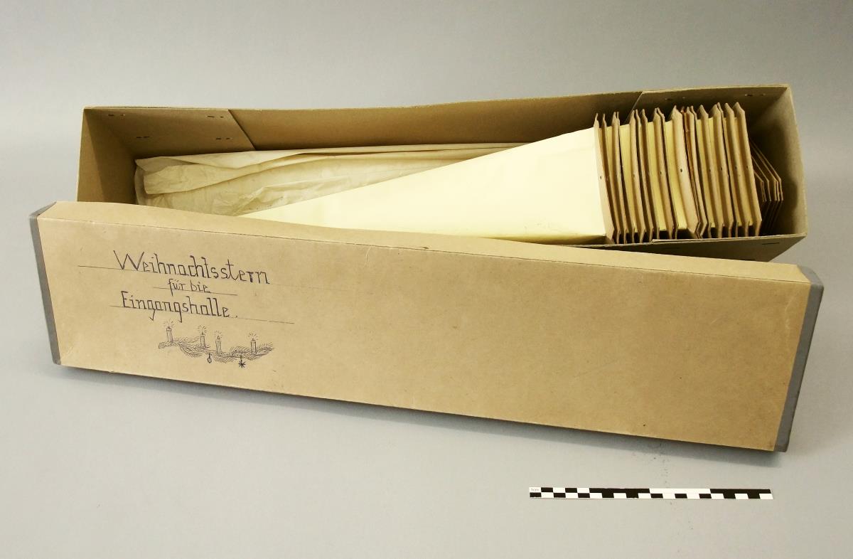 Weihnachtsstern für die Eingangshalle