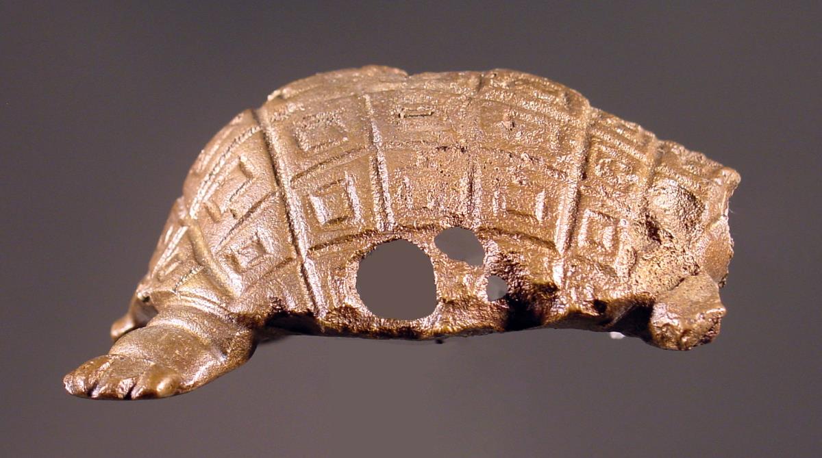 Schildkröte