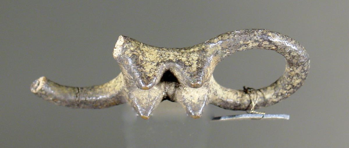 Bogenspanner (sog.)