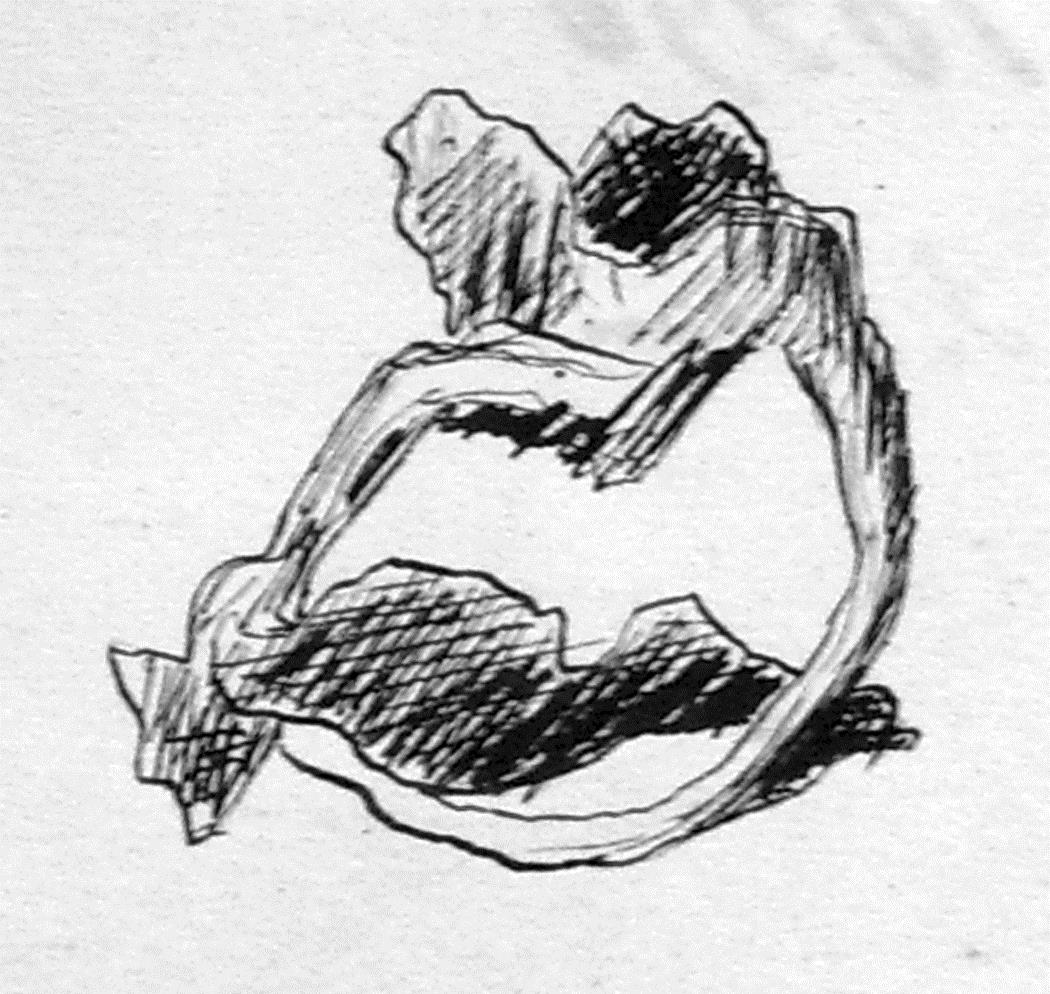 Fingerring