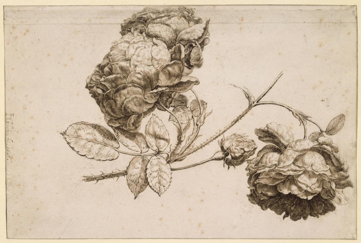 Rosenzweig